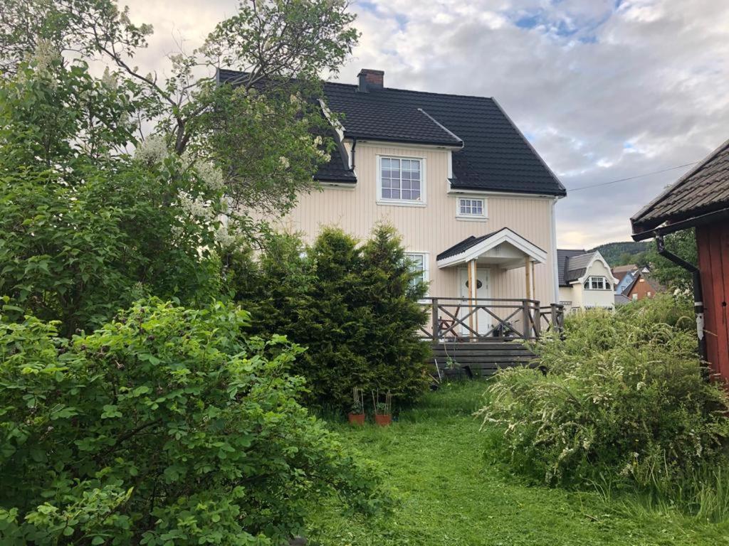 Central, Large And Light Apartment In The Middle Of The City Lillehammer Bagian luar foto